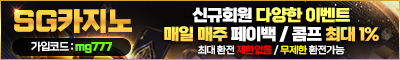 카지노사이트 SG카지노